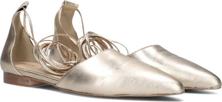 Notre-V Vk1114 Ballerina's Dames Goud