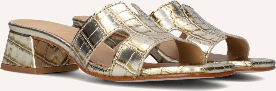 Notre-V As-16621 Hakken Dames Goudkleurig