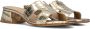 Notre-V As-16621 Hakken Dames Goudkleurig - Thumbnail 1