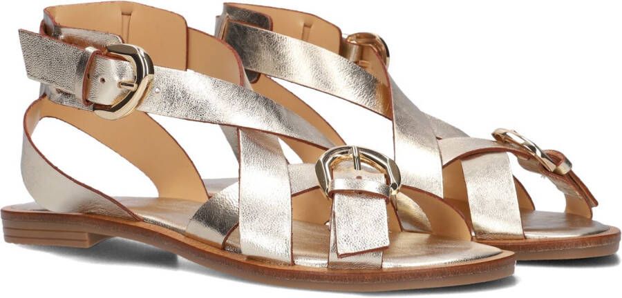 Notre-v Dames Sandalen 23272 Yellow Dames