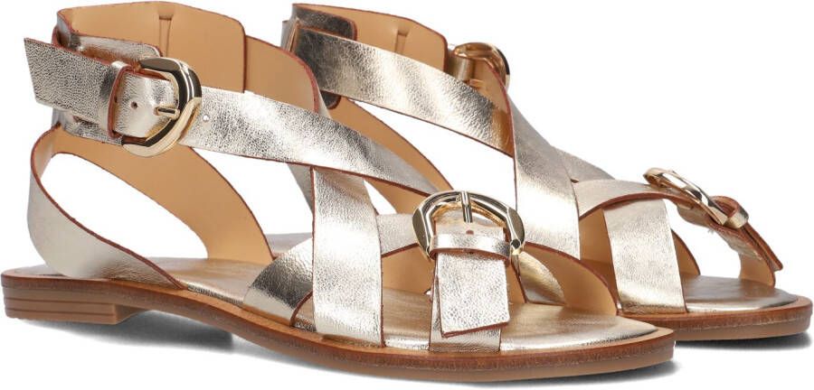 Notre-v Dames Sandalen 23272 Yellow Dames