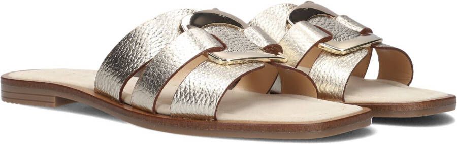Notre-v Dames Slippers 22718 Yellow Dames