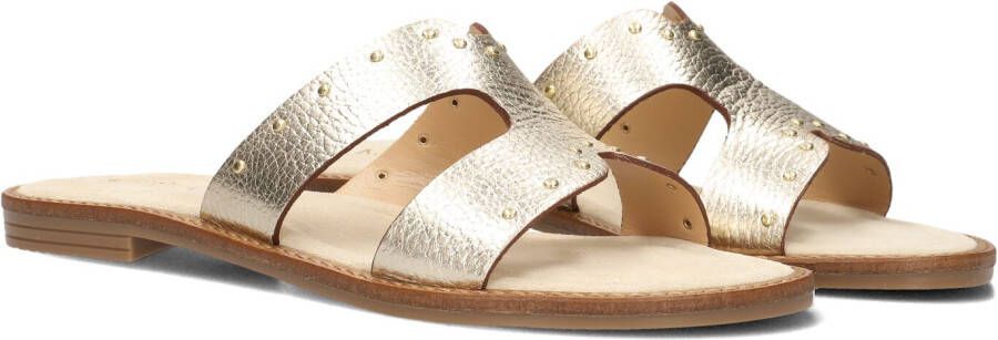 Notre-V 22743 Slippers Dames Goud