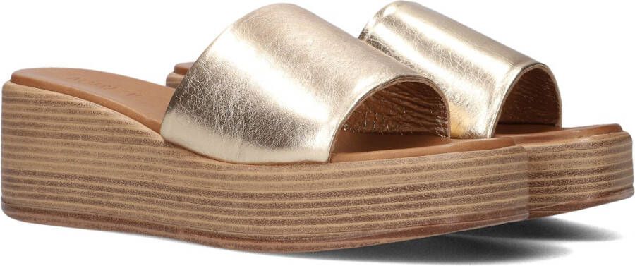 Metallica Metalli Slippers Dames Goud