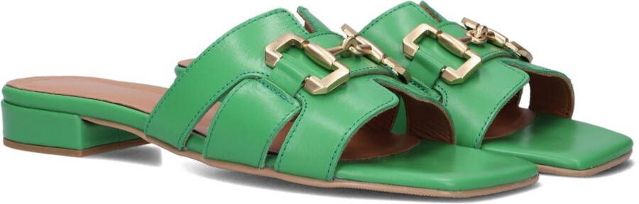 NOTRE-V Groene Slippers 06 6403