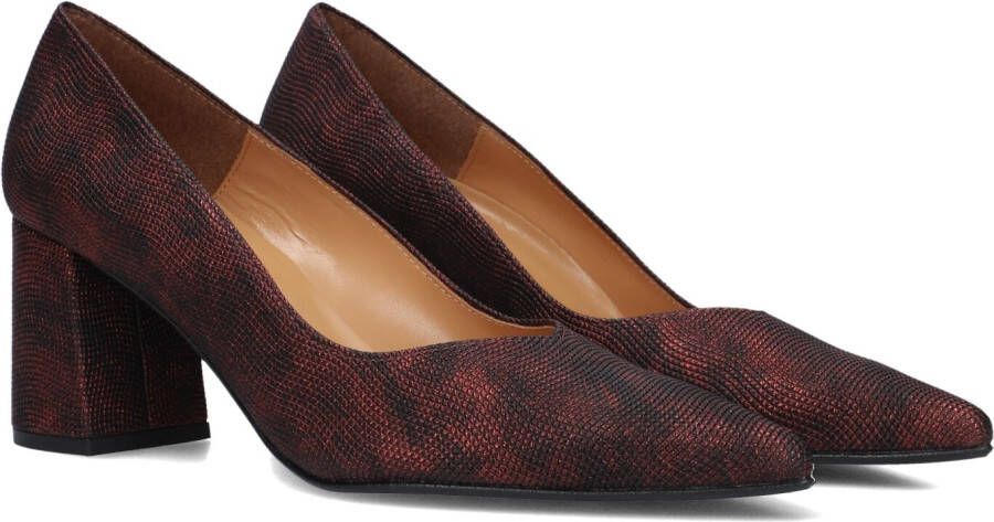 Notre-V 2333c Hakken Dames Bronskleurig