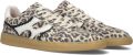 Notre-V Sia-01 Sneakers Dames Beige - Beige