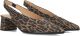 Notre-V 41903 Hakken Dames Bruin - Bruin