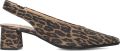 Notre-V 41903 Hakken Dames Bruin - Bruin
