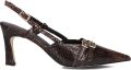 Notre-v Pumps met puntige neus en gespbandje - Donkerbruin