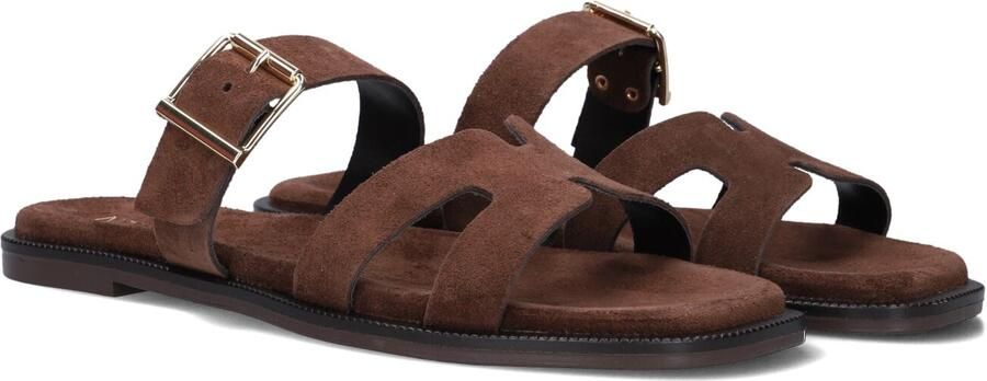 Notre-V 227226 Slippers Dames Bruin