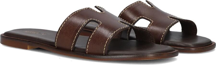 Notre-V Nv-1000 Slippers Dames Bruin