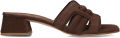 Notre-V Nv-1010 Slippers Dames Bruin - Bruin