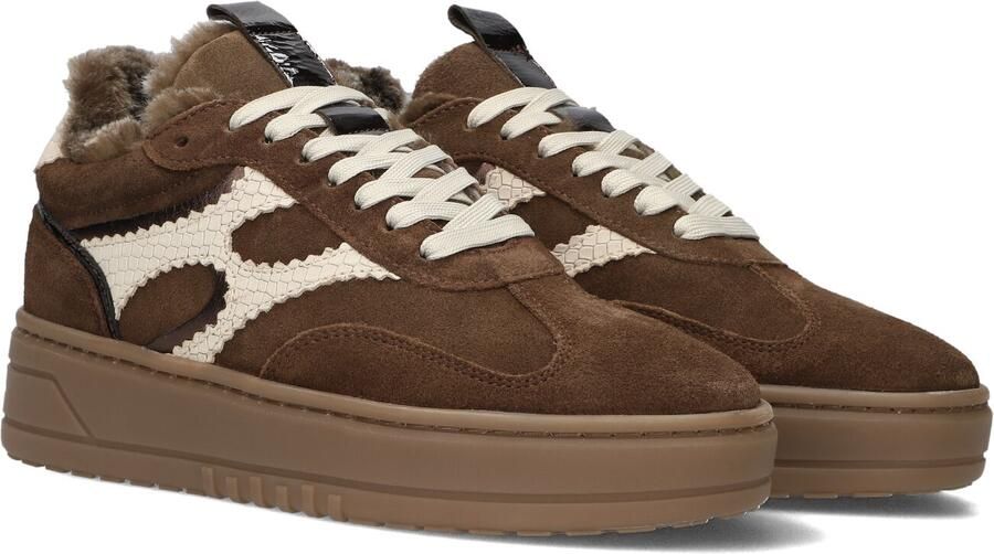Notre-V Anemone-63 Sneakers Dames Bruin