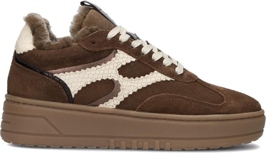 Notre-V Anemone-63 Sneakers Dames Bruin