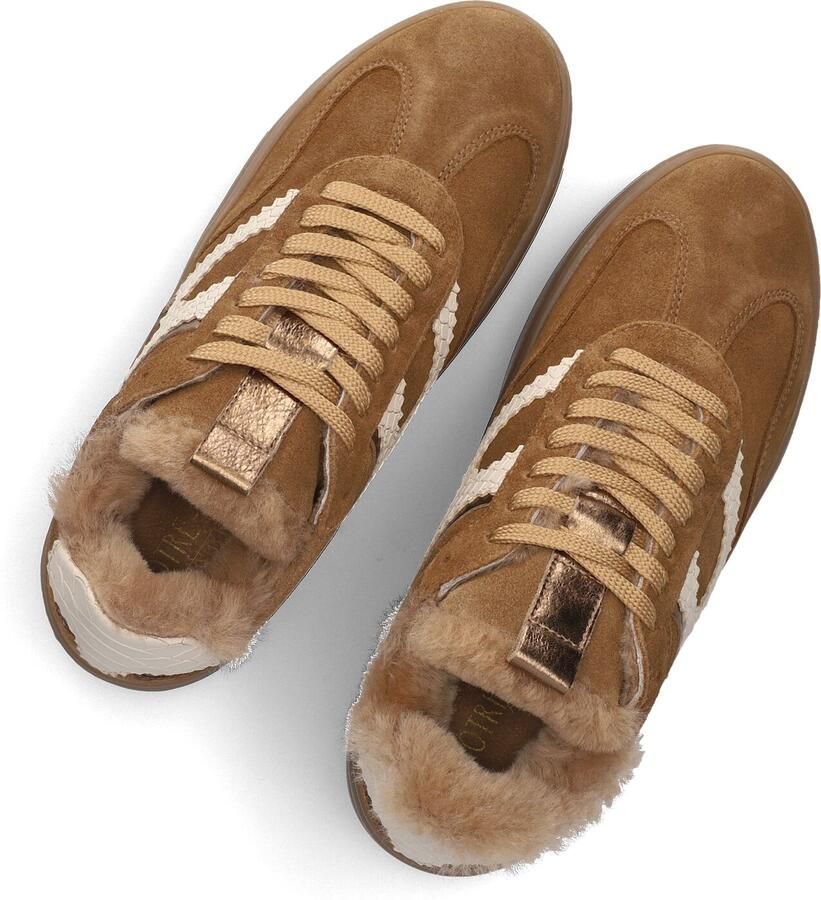 Notre-V Anemone-63 Sneakers Dames Camel - Foto 3