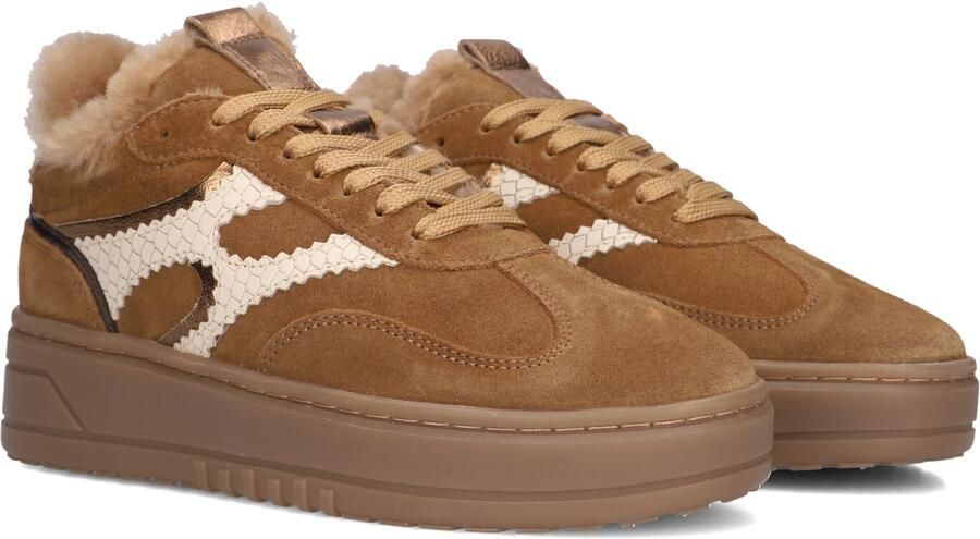 Notre-V Anemone-63 Sneakers Dames Camel