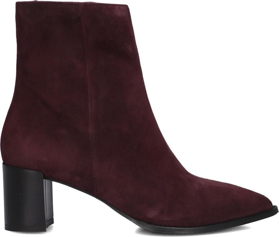 Notre-V 35239 Enkellaarsjes Enkelboots met rits Dames Paars - Foto 2