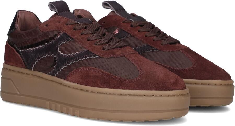 Notre-V Dames Lage sneakers Anemone-63 Bordeaux Suède