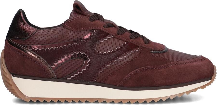 Notre-V Dames Lage sneakers Valerie-03 Bordeaux Suède - Foto 4