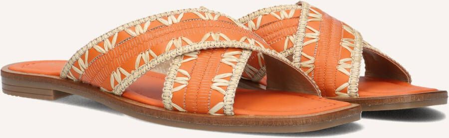 Notre-v Dames Slippers 23172 Orange Dames