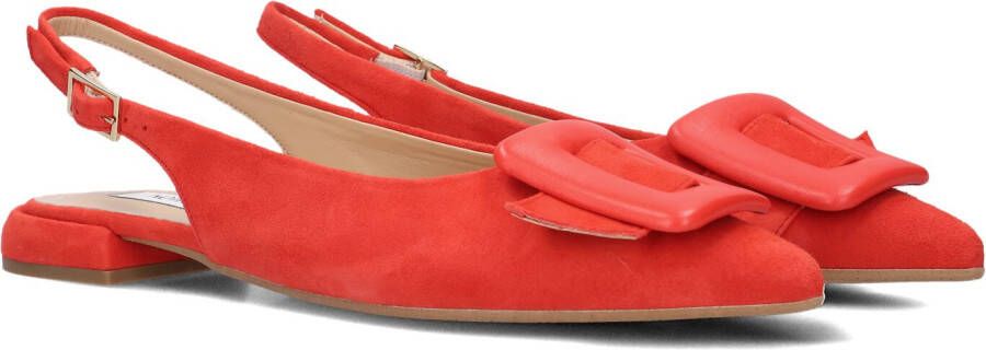 Notre-V 12241 Schoenen Dames Rood