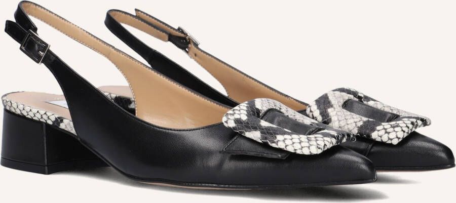 Notre-V 3341 Schoenen Dames Zwart