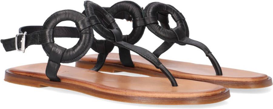 Notre-v Elegante Zwarte Sandaal met Cirkels Black Dames