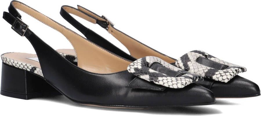 Notre-V 3341 Schoenen Dames Zwart