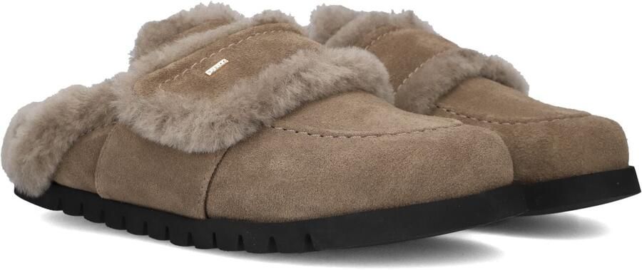 NUBIKK Lage Sneakers Dames Teddy Furry Ii Suède Taupe