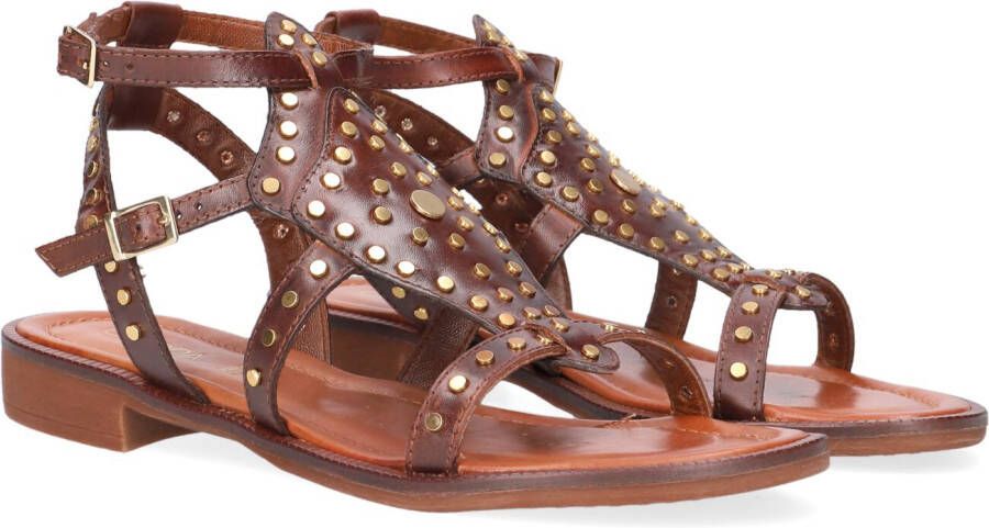 Omoda 120104 Sandalen Dames Cognac