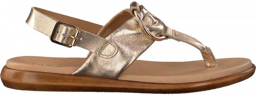 Gouden Dames Omoda Slippers online kopen? Vergelijk op Schoenen.nl
