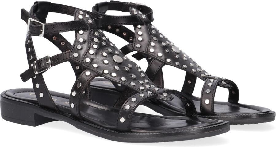 Omoda Zwarte Sandalen met Metalen Studs