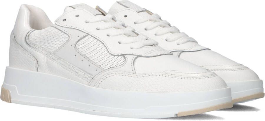 Omoda Witte Lage Sneakers Buckley