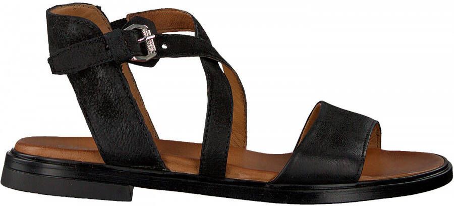 Omoda M05059 Sandalen Dames Zwart - Schoenen.nl