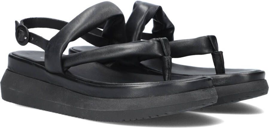 Dad Sandals M38031 Sandalen Dames Zwart