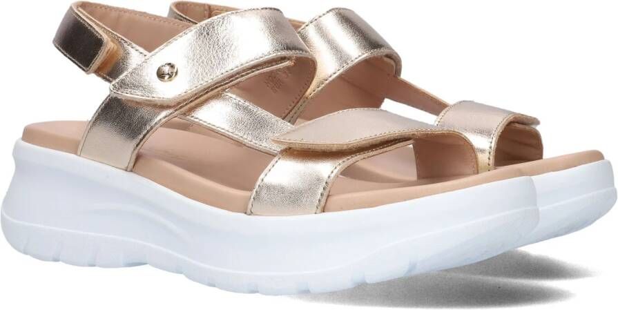 PANAMA JACK Gouden Sandalen Noor