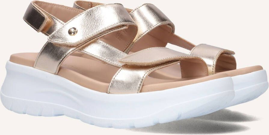 Panama Jack Plateausandalen Noor Shine Zomerschoen klittenbandschoen sandalette met lichte loopzool