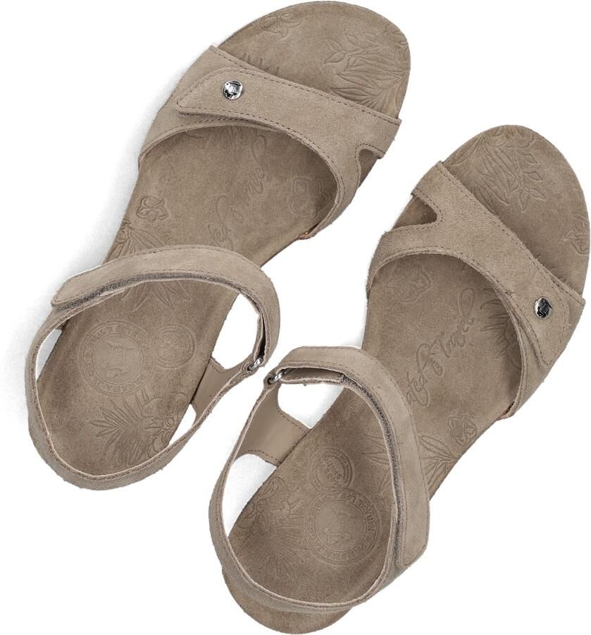 Panama Jack Julia Sandalen Met Sleehak Dames Taupe - Foto 2