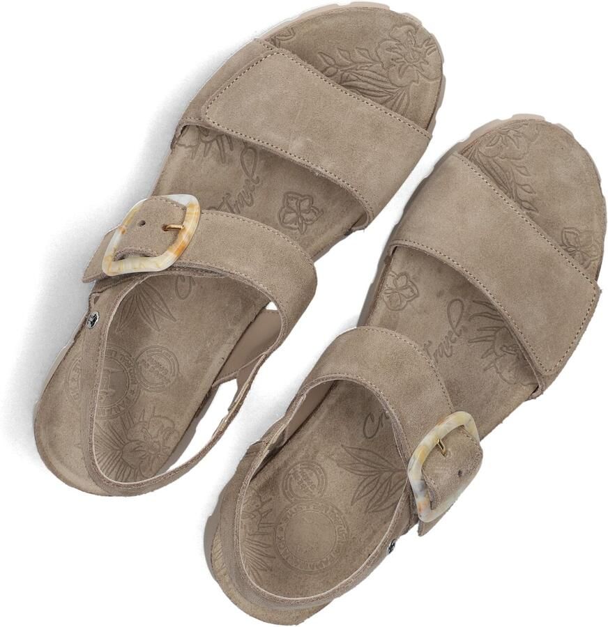 Panama Jack Sara Sandalen Dames Taupe - Foto 2