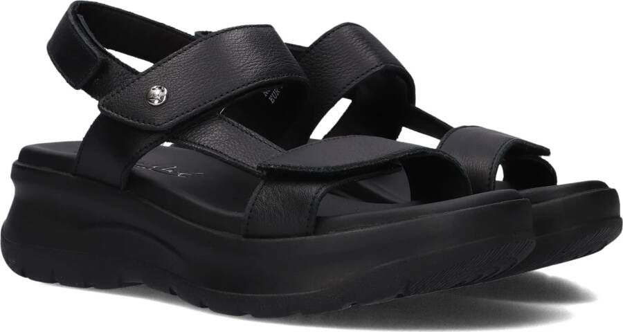 Panama Jack Zwarte Leren Sandalen met Klittenbandsluiting Black Dames