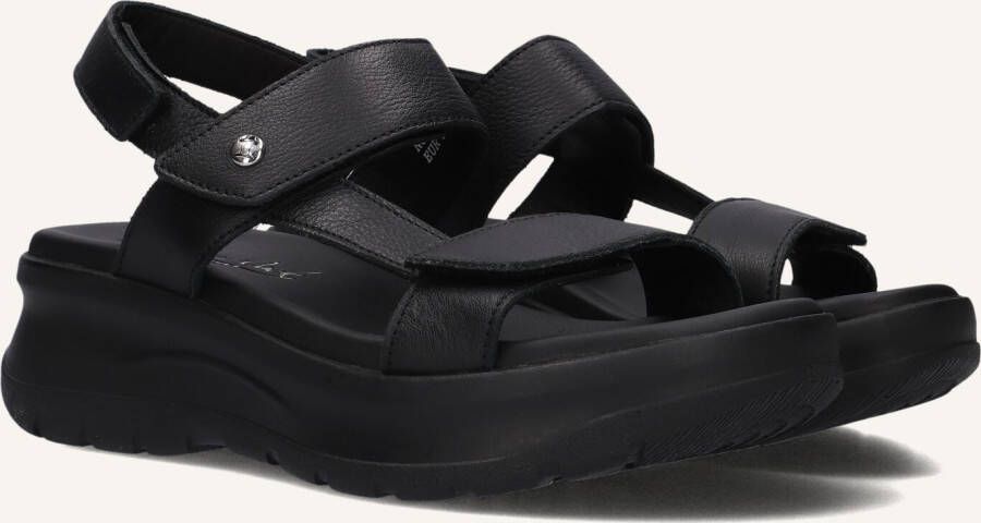 Panama Jack Plateausandalen Noor sandalette zomerschoen klittenbandschoen met gevoerde binnenzool