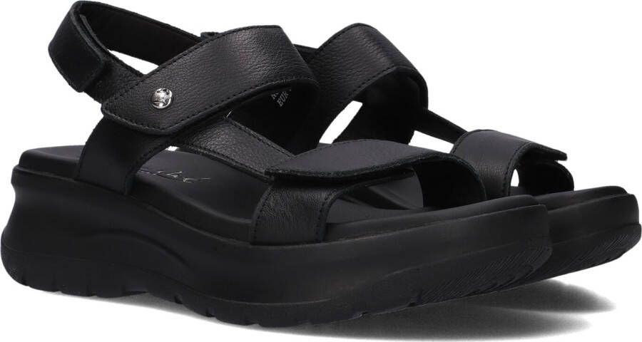 Panama Jack Plateausandalen Noor sandalette zomerschoen klittenbandschoen met gevoerde binnenzool