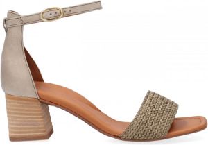 Paul Green 7788 Sandalen Dames Groen