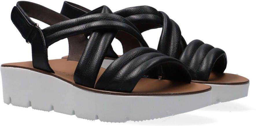 Paul Green 7795 Sandalen Dames Zwart