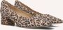 PETER KAISER Pumps Dames 72341 Maat: 38 5 Materiaal: Suède Kleur: Bruin - Thumbnail 1