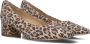 PETER KAISER Pumps Dames 72341 Maat: 37 5 Materiaal: Suède Kleur: Bruin - Thumbnail 1