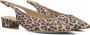 PETER KAISER Slingbacks Dames 79441 Maat: 38 5 Materiaal: Suède Kleur: Bruin - Thumbnail 1