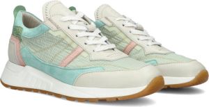 Piedi nudi 2605 01.04PN Grey Mint G Wijdte Lage sneakers