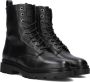 PIEDI NUDI PiediNudi Enkellaarsjes Dames Avola 03.06 Maat: 39 Materiaal: Leer Kleur: Zwart - Thumbnail 1